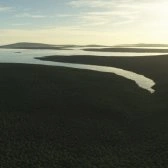Wasquito surface view